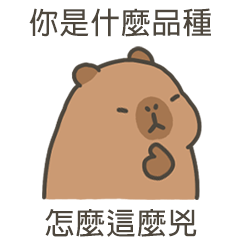 卡比巴拉水豚怎麼這麼兇