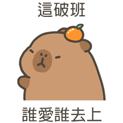 capycapy capybara5
