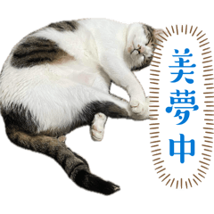 自己罐罐自己賺～