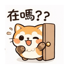 Q版浣熊的日常實用生活對話