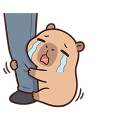 小水豚 卡皮巴拉 叭叭 日常 動態貼圖