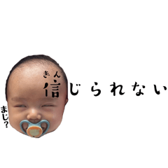 hoki_20260220120243