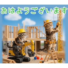 PAKAMOGOLY_20260220074306