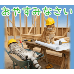 PAKAMOGOLY_20260220074349