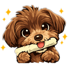 soogle_20260223083854