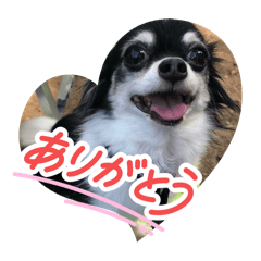 mariko_20260223075140