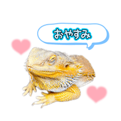 chayu_20260223090540