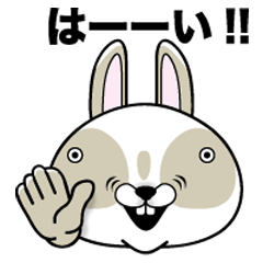 Hello! It is a Fun! rabbit