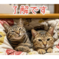 PAKAMOGOLY_20260223100618