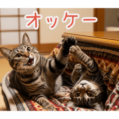 PAKAMOGOLY_20260223100736