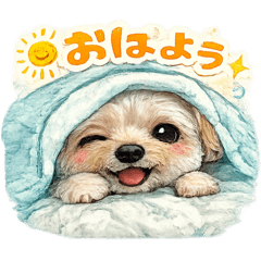 soogle_20260223101232