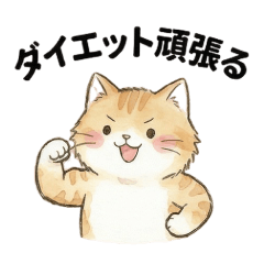 Fluffy Cat on a Diet