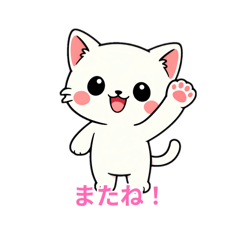 meimei_20260222194706