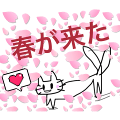 yoshi_20260223101530