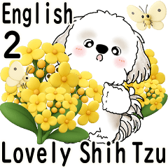 Shih Tzu Daily Expressions 2