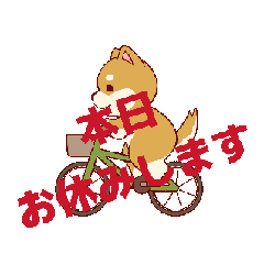 Yoshi_20260223152314