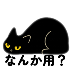 alpha_20260223163945