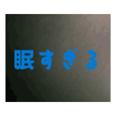 megane3698_20260223182029