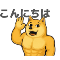 kimoi_20260223183359