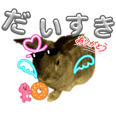 vanilla_20260223183137