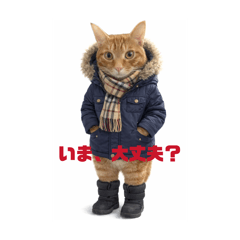 fu_natsu_20260223183258