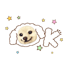 maika_20260223230225