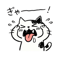 meimei_20260223201022