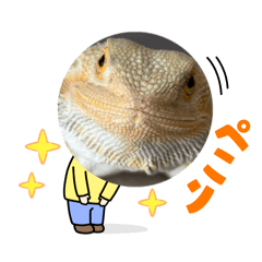 chayu_20260223200747