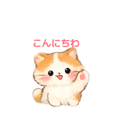 momonga_20260223105927