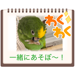 Yuzuki_20260223133628