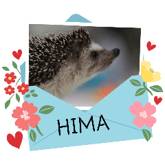 kanami_20260223152638