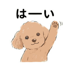hinamimi