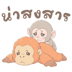 นู๋จ๋อ ลิงหิมะ