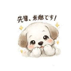 ikupa_20260223114317