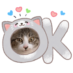 miyuyu_20260223113926