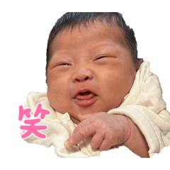 kitajima_20260223115024