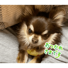 shun._20260223225340