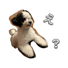 Tensaiharuto,Komatsubara