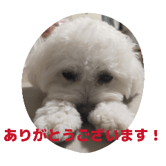 mugikome_2026022