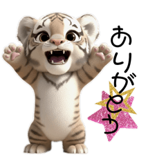 sorakko_20260223175534