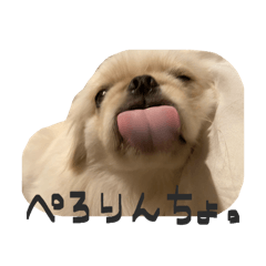 mocha_20260223175727