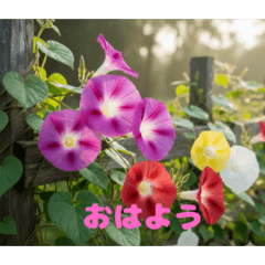 pinklovemomo_20260223162730