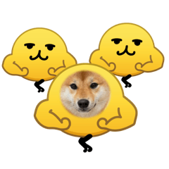 kimoi_20260223180830