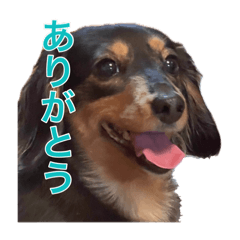 Aichan_20260223125542