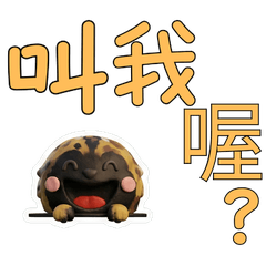 Taiwanese African wild dog  39