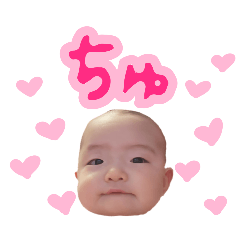 pu_20260223192228