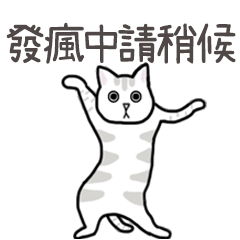 Miss A:扭扭貓之精神不穩定