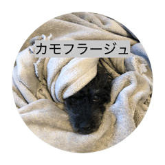 Sayuri_20260222182236