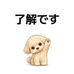 SONASONA_20260223160746