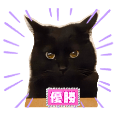 yonyon_20260223164628